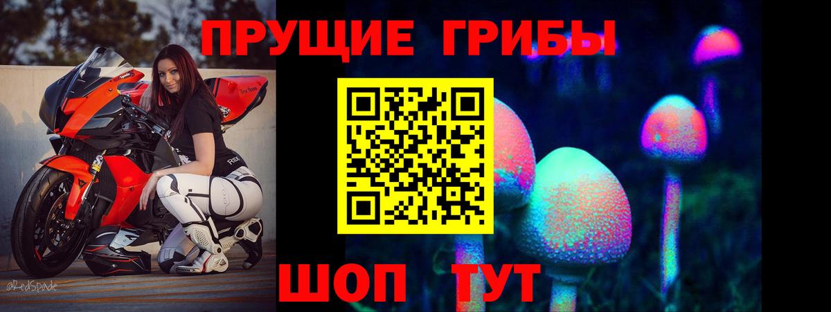 Волгоград  Галлюциногенные грибы мухоморы  Вход с VPN 